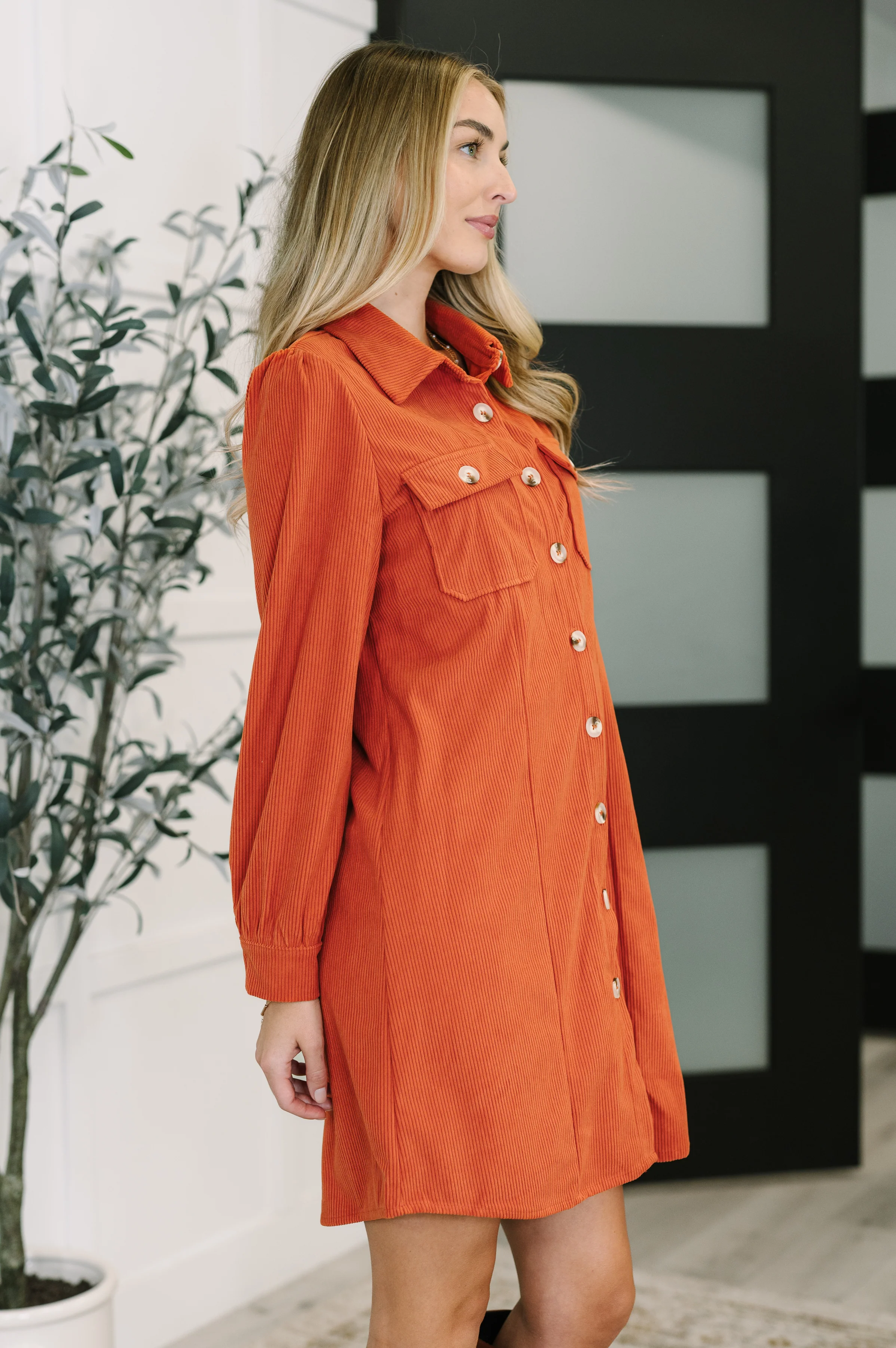 Clever in Corduroy Shirt Dress - 10/10/2025 NEW - Image 4