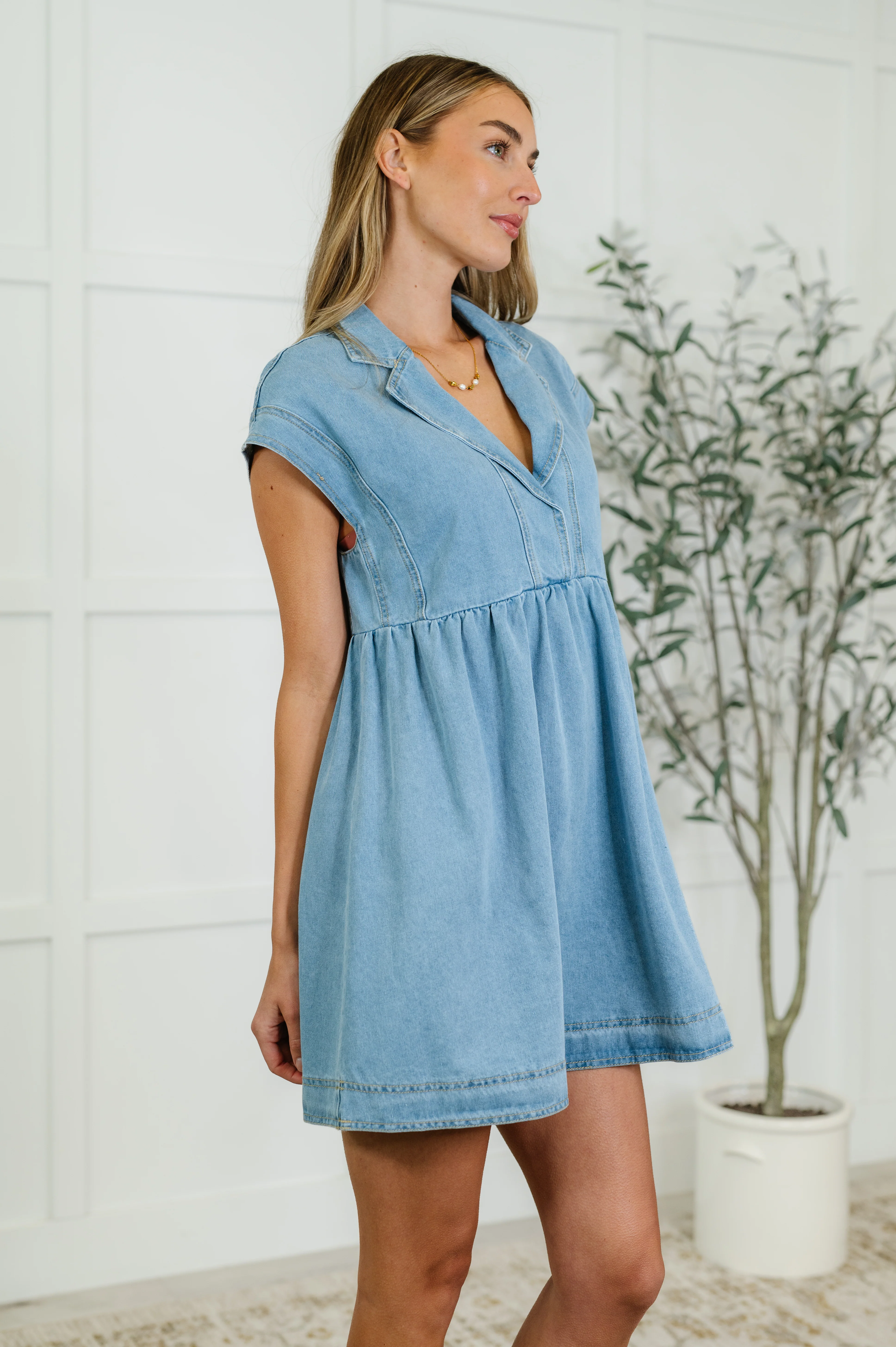 First Rodeo Denim Dress - 6/22/2026 - Image 3