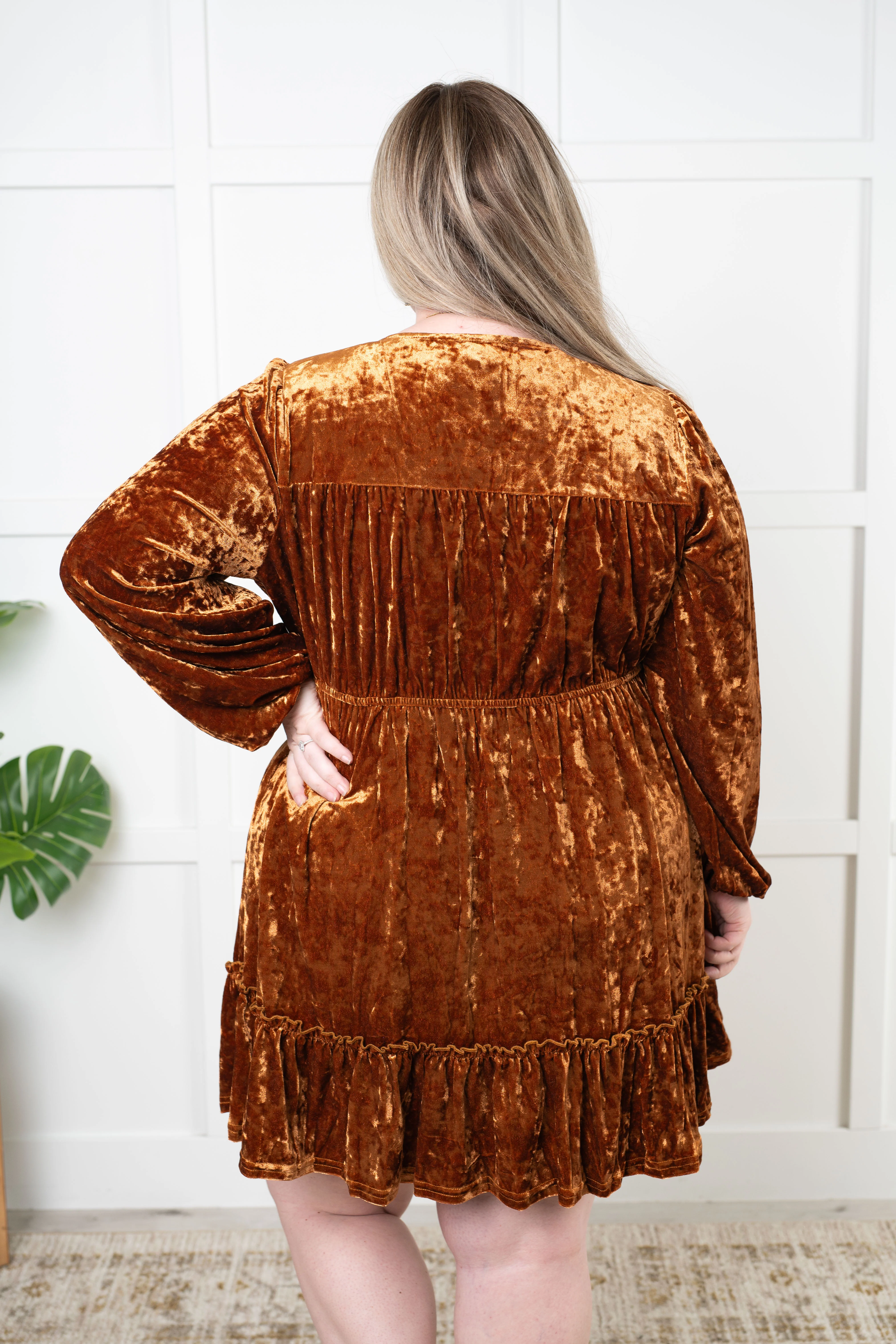 Magnificent Muse Velvet Dress - 11/7/2024 - Image 6