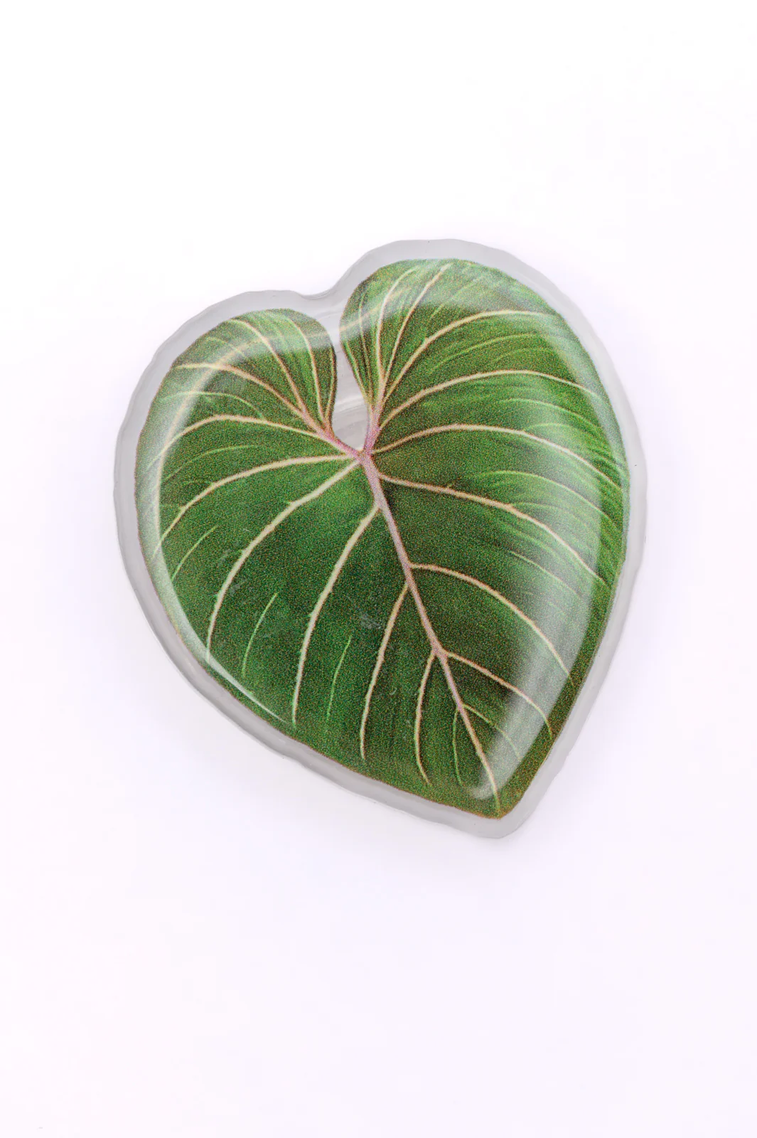 Plant Lover Phone Grip Tropical Leaf - 12/11/2023 - Image 3