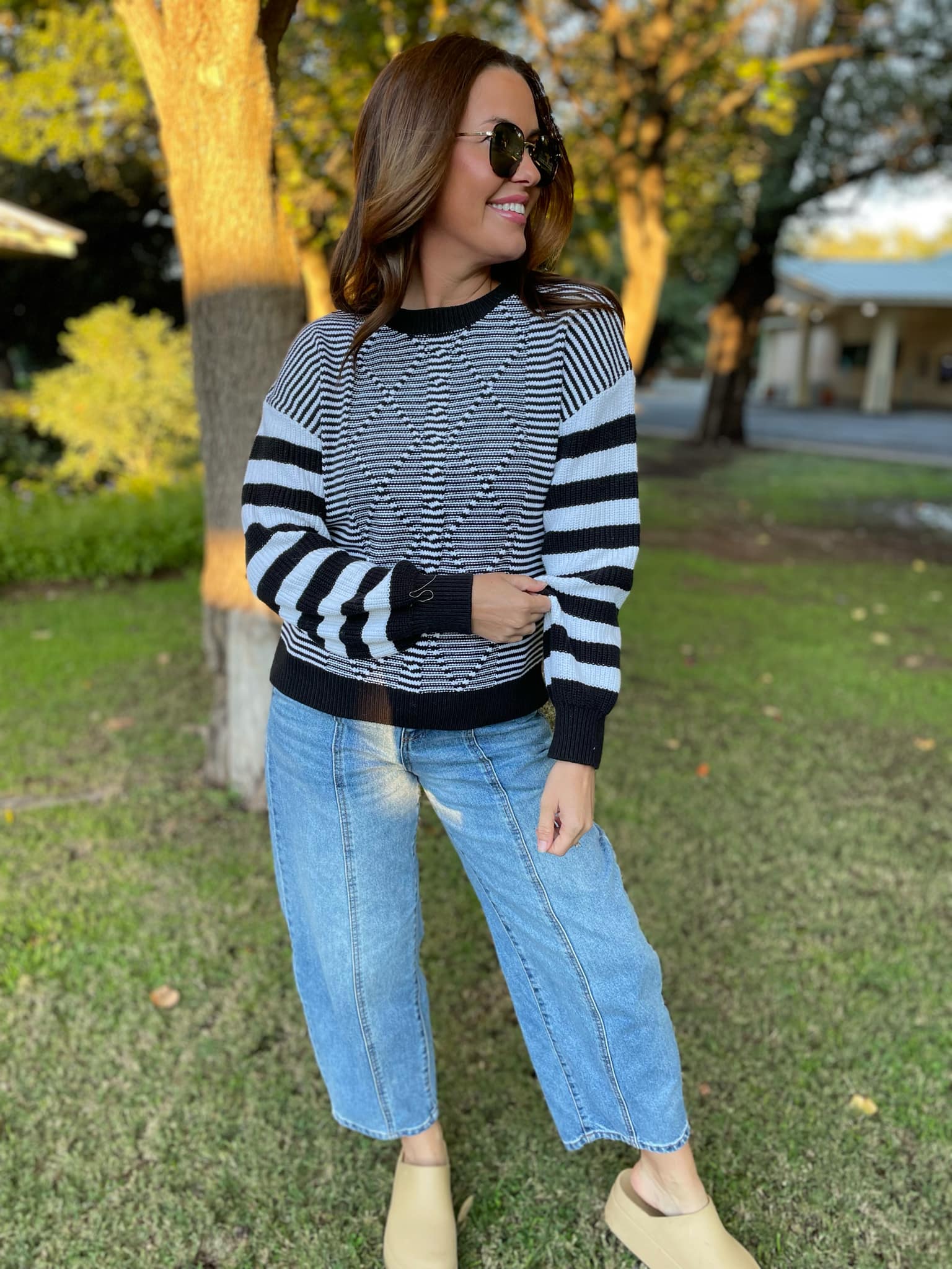 PREORDER: Aspen Striped Sleeve Sweater in Four Colors - Image 15