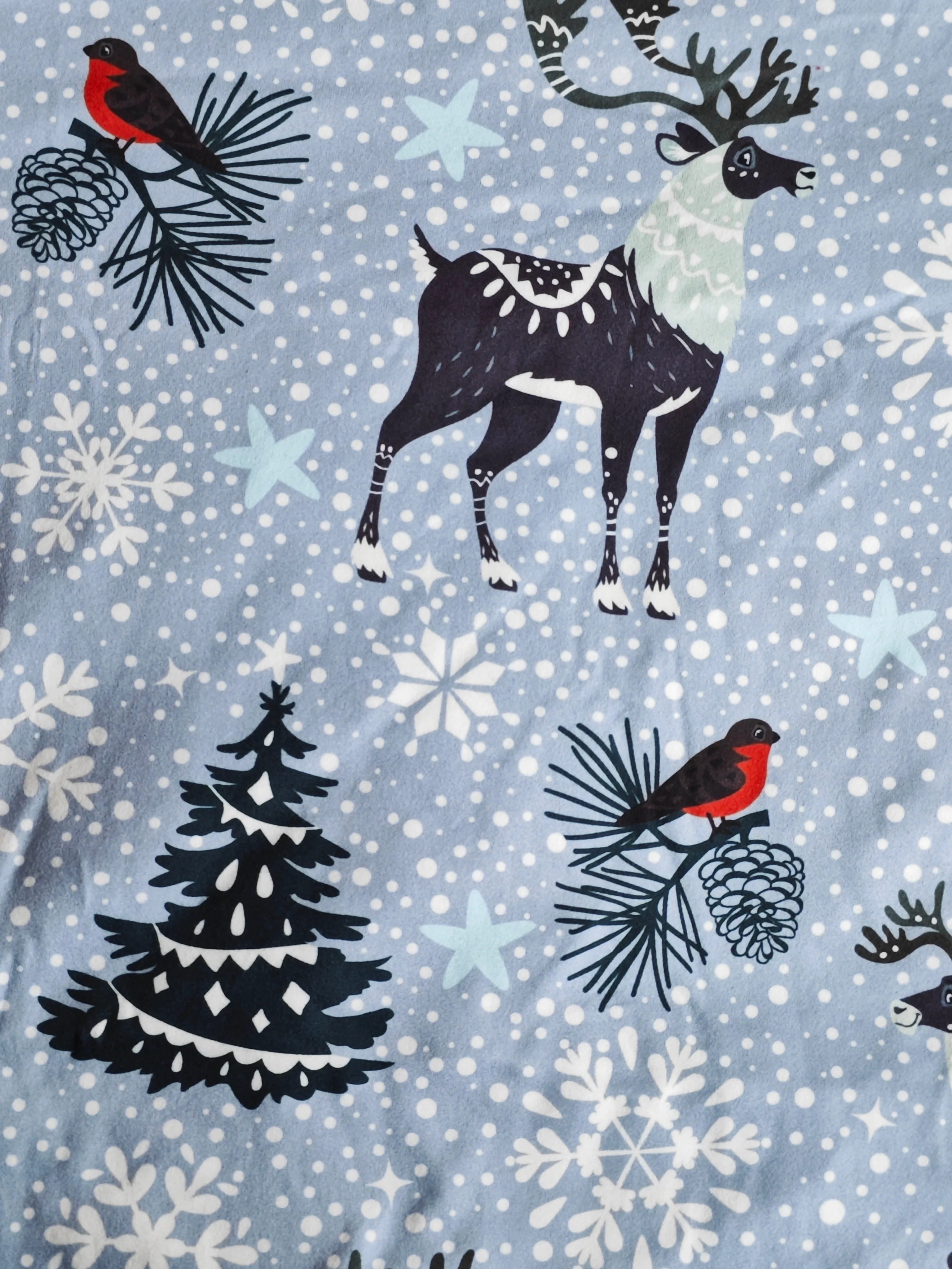 PREORDER: Matching Family Christmas Pajamas in Winter Wonderland - Image 2